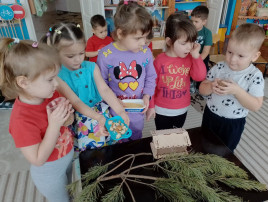 Покормите птиц зимой Покормите птиц зимой.
